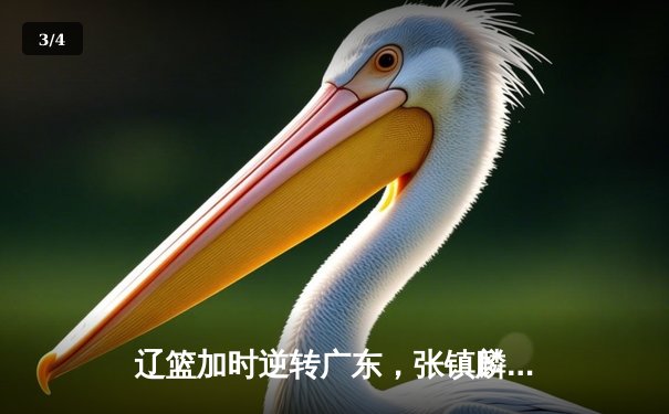 辽篮加时逆转广东，张镇麟34分创个人季后赛新高 - 3